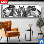 Leuchtbild Dia Eule Auf Ast Panorama Produktvorschau mit dem Bild Eule auf Ast im Format Panorama.