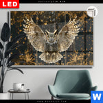 Leuchtbild Dia Eule Inmitten Goldener Blaetter Querformat Produktvorschau mit dem Bild Eule inmitten goldener Blätter im Format Querformat.