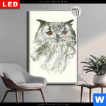 Leuchtbild Dia Eule Wald No 1 Hochformat Produktvorschau mit dem Bild Eule & Wald No.1 im Format Hochformat.