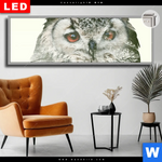 Leuchtbild Dia Eule Wald No 1 Panorama Produktvorschau mit dem Bild Eule & Wald No.1 im Format Panorama.