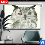 Leuchtbild Dia Eule Wald No 1 Querformat Produktvorschau mit dem Bild Eule & Wald No.1 im Format Querformat.