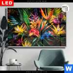 Leuchtbild Dia Exotische Tropische Pflanzen Querformat Produktvorschau mit dem Bild Exotische tropische Pflanzen im Format Querformat.