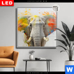 Leuchtbild Dia Farbenexplosion Mit Elefant Quadrat Produktvorschau mit dem Bild Farbenexplosion mit Elefant im Format Quadrat.