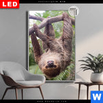 Leuchtbild Dia Faultier Streckt Zunge Raus Hochformat Produktvorschau mit dem Bild Faultier streckt Zunge raus im Format Hochformat.