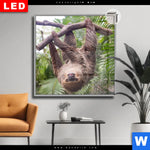 Leuchtbild Dia Faultier Streckt Zunge Raus Quadrat Produktvorschau mit dem Bild Faultier streckt Zunge raus im Format Quadrat.