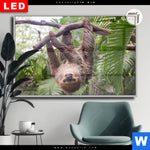 Leuchtbild Dia Faultier Streckt Zunge Raus Querformat Produktvorschau mit dem Bild Faultier streckt Zunge raus im Format Querformat.