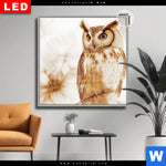 Leuchtbild Dia Federkleid Trifft Bluetenpracht Quadrat Produktvorschau mit dem Bild Federkleid trifft Blütenpracht im Format Quadrat.