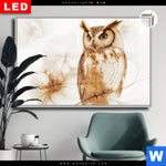 Leuchtbild Dia Federkleid Trifft Bluetenpracht Querformat Produktvorschau mit dem Bild Federkleid trifft Blütenpracht im Format Querformat.