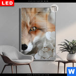 Leuchtbild Dia Friedlicher Fuchs Und Blumen Hochformat Produktvorschau mit dem Bild Friedlicher Fuchs und Blumen im Format Hochformat.