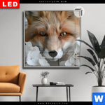 Leuchtbild Dia Friedlicher Fuchs Und Blumen Quadrat Produktvorschau mit dem Bild Friedlicher Fuchs und Blumen im Format Quadrat.