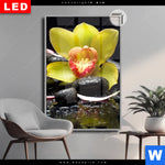 Leuchtbild Dia Gelbe Orchidee Hochformat Produktvorschau mit dem Bild Gelbe Orchidee im Format Hochformat.