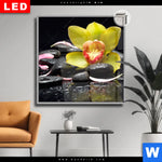 Leuchtbild Dia Gelbe Orchidee Quadrat Produktvorschau mit dem Bild Gelbe Orchidee im Format Quadrat.