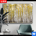Leuchtbild Dia Gelber Birkenwald Querformat Produktvorschau mit dem Bild Gelber Birkenwald im Format Querformat.