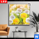 Leuchtbild Dia Gelber Loewenzahn Quadrat Produktvorschau mit dem Bild Gelber Löwenzahn im Format Quadrat.