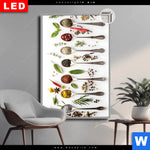 Leuchtbild Dia Gewuerzvielfalt Hochformat Produktvorschau mit dem Bild Gewürzvielfalt im Format Hochformat.