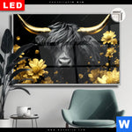 Leuchtbild Dia Goldenes Hochlandrind Querformat Produktvorschau mit dem Bild Goldenes Hochlandrind im Format Querformat.