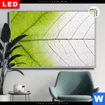 Leuchtbild Dia Gruenes Blatt Querformat Produktvorschau mit dem Bild Grünes Blatt im Format Querformat.