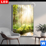 Leuchtbild Dia Herbstlicher Wald Hochformat Produktvorschau mit dem Bild Herbstlicher Wald im Format Hochformat.