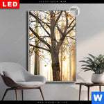 Leuchtbild Dia Herbstspaziergang Hochformat Produktvorschau mit dem Bild Herbstspaziergang im Format Hochformat.