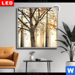 Leuchtbild Dia Herbstspaziergang Quadrat Produktvorschau mit dem Bild Herbstspaziergang im Format Quadrat.