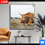 Leuchtbild Dia Highlander Familie Quadrat Produktvorschau mit dem Bild Highlander Familie im Format Quadrat.