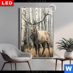 Leuchtbild Dia Hirsch Im Birkenwald Hochformat Produktvorschau mit dem Bild Hirsch im Birkenwald im Format Hochformat.