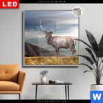 Leuchtbild Dia Hirsch In Der Herbstzeit Quadrat Produktvorschau mit dem Bild Hirsch in der Herbstzeit im Format Quadrat.