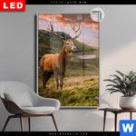 Leuchtbild Dia Hirsch In Gebirgslandschaft Hochformat Produktvorschau mit dem Bild Hirsch in Gebirgslandschaft im Format Hochformat.