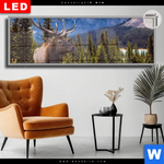 Leuchtbild Dia Hirsch Vor Bergkulisse Panorama Produktvorschau mit dem Bild Hirsch vor Bergkulisse im Format Panorama.