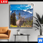 Leuchtbild Dia Hirsch Vor Bergkulisse Quadrat Produktvorschau mit dem Bild Hirsch vor Bergkulisse im Format Quadrat.