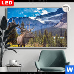 Leuchtbild Dia Hirsch Vor Bergkulisse Querformat Produktvorschau mit dem Bild Hirsch vor Bergkulisse im Format Querformat.