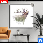 Leuchtbild Dia Hirsch Wald No 2 Quadrat Produktvorschau mit dem Bild Hirsch & Wald No.2 im Format Quadrat.
