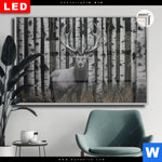 Leuchtbild Dia Hirschportraet Vor Birken Querformat Produktvorschau mit dem Bild Hirschporträt vor Birken im Format Querformat.