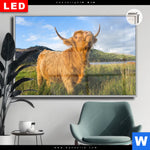 Leuchtbild Dia Hochland Bulle Querformat Produktvorschau mit dem Bild Hochland-Bulle im Format Querformat.