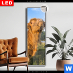 Leuchtbild Dia Hochland Bulle Schmal Produktvorschau mit dem Bild Hochland-Bulle im Format Schmal.