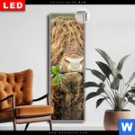 Leuchtbild Dia Hochland Rind Mit Nasenring Schmal Produktvorschau mit dem Bild Hochland-Rind mit Nasenring im Format Schmal.