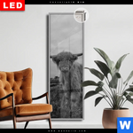 Leuchtbild Dia Hochland Rind Schwarz Weiss Schmal Produktvorschau mit dem Bild Hochland-Rind Schwarz-Weiß im Format Schmal.