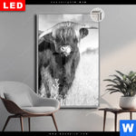 Leuchtbild Dia Hochlandkuh Auf Einer Wiese Hochformat Produktvorschau mit dem Bild Hochlandkuh auf einer Wiese im Format Hochformat.