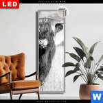 Leuchtbild Dia Hochlandkuh Auf Einer Wiese Schmal Produktvorschau mit dem Bild Hochlandkuh auf einer Wiese im Format Schmal.