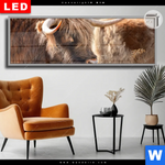 Leuchtbild Dia Hochlandrind Auf Weide Panorama Produktvorschau mit dem Bild Hochlandrind auf Weide im Format Panorama.