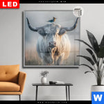 Leuchtbild Dia Hochlandrind Bunter Vogel Quadrat Produktvorschau mit dem Bild Hochlandrind & bunter Vogel im Format Quadrat.