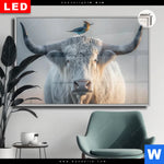 Leuchtbild Dia Hochlandrind Bunter Vogel Querformat Produktvorschau mit dem Bild Hochlandrind & bunter Vogel im Format Querformat.