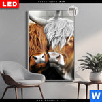 Leuchtbild Dia Hochlandrinder Harmonie Der Natur Hochformat Produktvorschau mit dem Bild Hochlandrinder - Harmonie der Natur im Format Hochformat.