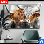 Leuchtbild Dia Hochlandrinder Harmonie Der Natur Querformat Produktvorschau mit dem Bild Hochlandrinder - Harmonie der Natur im Format Querformat.