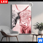 Leuchtbild Dia Hochlandrinder Harmonie In Pastell Hochformat Produktvorschau mit dem Bild Hochlandrinder - Harmonie in Pastell im Format Hochformat.