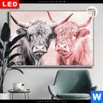 Leuchtbild Dia Hochlandrinder Harmonie In Pastell Querformat Produktvorschau mit dem Bild Hochlandrinder - Harmonie in Pastell im Format Querformat.