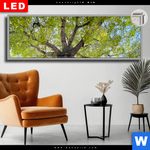 Leuchtbild Dia Hoher Baum Panorama Produktvorschau mit dem Bild Hoher Baum im Format Panorama.