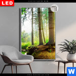 Leuchtbild Dia Idyllischer Wald Bei Sonnenaufgang Hochformat Produktvorschau mit dem Bild Idyllischer Wald bei Sonnenaufgang im Format Hochformat.