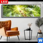 Leuchtbild Dia Im Frischen Gruenen Wald Panorama Produktvorschau mit dem Bild Im frischen grünen Wald im Format Panorama.