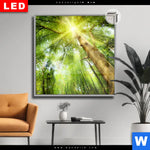 Leuchtbild Dia Im Frischen Gruenen Wald Quadrat Produktvorschau mit dem Bild Im frischen grünen Wald im Format Quadrat.